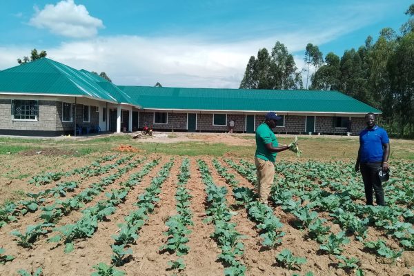 ACSO DEMO PLOTS TO TRAIN HER CAREGIVERS ON VEGETABLES PRODUCTION